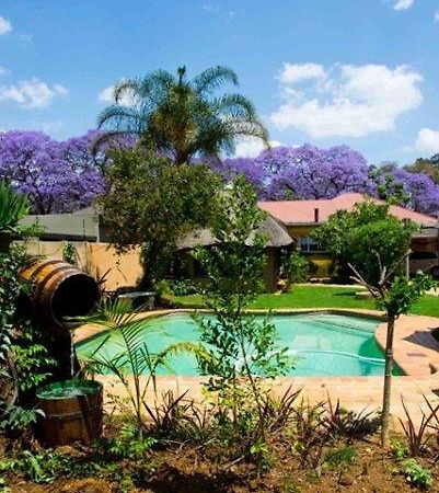 1322 Backpackers International Hostel Pretoria-Noord Kültér fotó